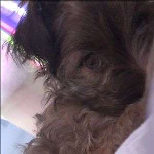 Meet your Posher, Eli